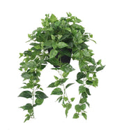 365 Blooming Decor Pothos Ivy plant with lifelike foliage for stylish indoor decor.