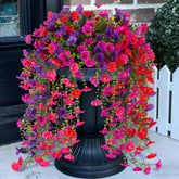 ADXORA Morning Glory bundle hanging outdoors in a planter for year-round color.