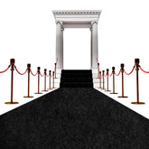 AEHISDHIE black carpet runner with non slip backing for stable use
