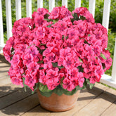 AGIRL Rose Red artificial geranium bundle close-up with lifelike petals for indoor decor.