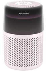 AirROMI A2005 reduces pet odors for a fresher living room.