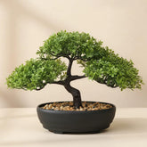 ALAGIRLS artificial bonsai tree with compact desk focus for elegant office decor