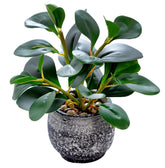 AlphaAcc artificial ficus in cement pot for indoor decor