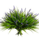 Alyptus 12 bundles of monkey grass with flowers for vibrant, low-maintenance pots.