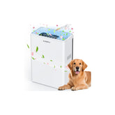 AMEIFU air purifier for large rooms up to 2300 sq ft improves overall air quality