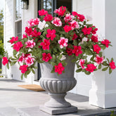 Ammyoo azalea artificial outdoor two-pack with lifelike petals and UV resistance detail