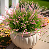 Ammyoo monkey grass pack featuring 12 bundles for porch and garden decor.