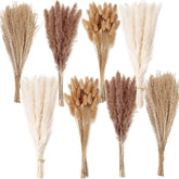 ANPROOR pampas grass dried bouquet for boho home decor and elegant vase filler.