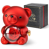 Anthonic cute teddy bear with preserved rose, a timeless romantic keepsake.