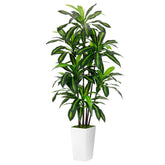 ASTIDY artificial dracaena 6ft tree with white planter adds lifelike greenery to any room