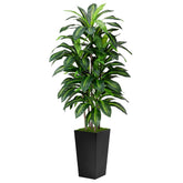 ASTIDY artificial Dracaena tree 5ft in black planter offers year-round greenery.