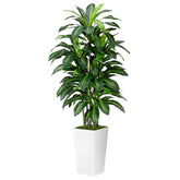 ASTIDY artificial dracaena tree 5ft in white planter for elegant living room decor