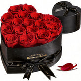 Auoasl rose in red gift box, a timeless keepsake for anniversaries and Mother's Day.