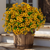 AXYLEX artificial mums bundle closeup, vibrant color and no-fade appeal for outdoor decor.