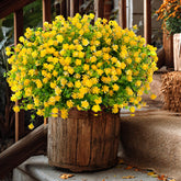 AXYLEX outdoor artificial flowers brighten porches with UV-safe, fade-free color.