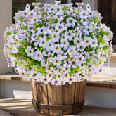 AXYLEX outdoor artificial flowers in 16 bundles brighten porches with UV-resistant color.