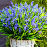 AXYLEX outdoor lavender bundle on porch offers maintenance-free color and UV resistance