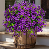 AXYLEX purple outdoor artificial flowers 16-bundle set adds color and privacy to patios