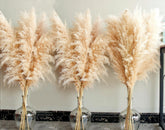 Bannifll 40-inch pampas grass with 16 stems for tall displays