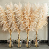 Bannifll 40-inch pampas grass stems for a dramatic boho centerpiece.