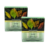 Bath and Body Works Leaves Wallflowers two-boxes refill set for ongoing aroma.