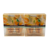 Bath & Body Works Sun-Washed Citrus 4-pack refill bulbs deliver lasting fragrance.