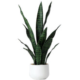Beebel artificial snake plant in black pot with 12 leaves, ideal for low-maintenance home decor