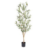 Bellacat 4ft faux olive tree with natural trunk for elegant indoor decor.