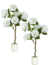 BLOSMON White Hydrangea Tree on a front porch with lush, low-maintenance decor.