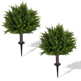 Broiscy topiary cedar trunk close-up, realistic wood texture for outdoor use.