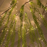Bucherry Jungle vines 13mm roll creates a dense tropical classroom backdrop.