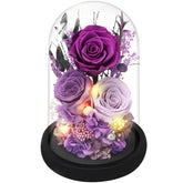 Casaido preserved rose in glass dome with lights displaying lasting beauty for year-round elegance.