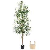 Caxchiling 6ft olive tree with natural trunk enhances indoor décor realism