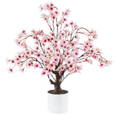 Caxchiling Cherry Blossom Tree 2ft with pink flowers on desktop for a fresh spring centerpiece