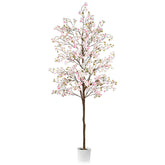 Caxchiling cherry blossom tree stands 6 ft tall with pink blooms for elegant indoors