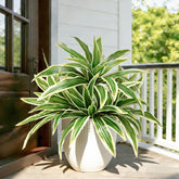 Cherica fake ferns outdoor UV resistance detail showing full cascade for patio decor