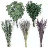 Chflost 120+ stems dried eucalyptus and lavender bundle for lush, long-lasting decor.