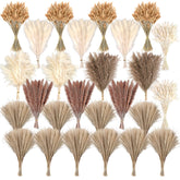CKBT dried pampas grass 610pc pack adds natural texture to living rooms