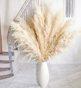 CKBT pampas grass 40-inch tall stems for elegant floor vase displays in living rooms.