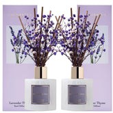 COCORRÍNA babies-breath diffuser with lavender thyme for calming home fragrance