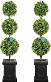 Colorspec Boxwood Topiary 2-Pack with lush foliage for year-round curb appeal, front doors, and indoor corners.
