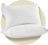 CoolShields waterproof pillow protector with zipper seals out spills for a cleaner queen pillow.