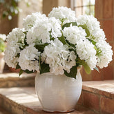 Daynight hydrangea outdoor-bouquet-1 with vivid petals for patio centerpieces.
