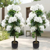 Daynight hydrangea tree close-up bloom for porch decoration