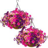 Daynight petunias 2-set hanging baskets with bright, UV-resistant blooms for porch decor.