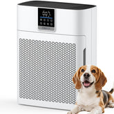 DBFIT AP2410 front view, large-room air purifier for refreshed living spaces