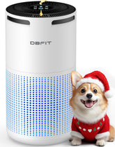 DBFIT W-01 air purifier front view for large rooms