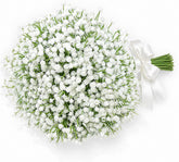 DEEMEI Babys Breath stem—21-piece bouquet suitable for wedding decor and home styling.