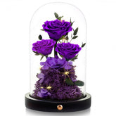 Denimomo Forever Purple Rose in a glass dome for lasting, elegant display.