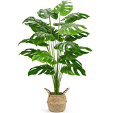 Der Rose 44inch monstera plant with basket creates lush year-round greenery for any room.
